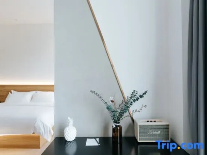 1 Bedroom Suite