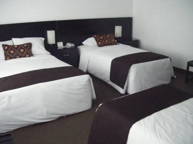 Standard Twin room with view