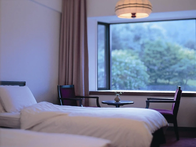 Deluxe Twin room with mountain view