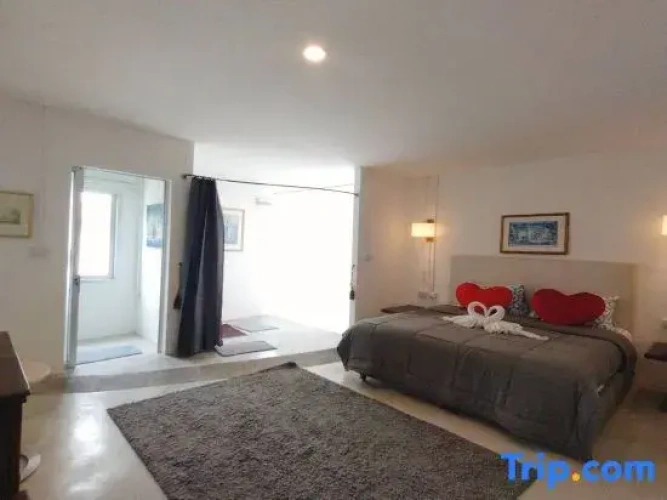 Standard Penthouse room