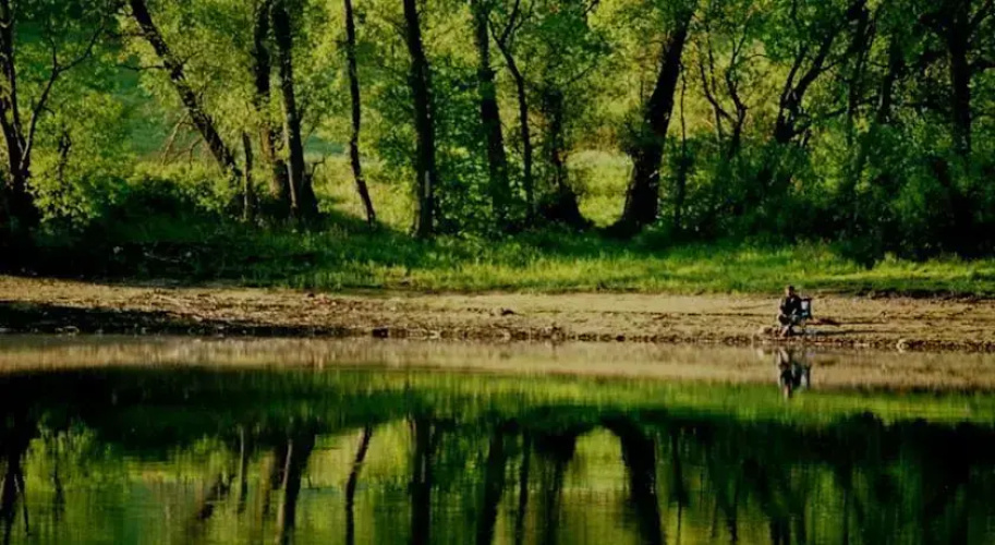 Złoty Potok 21