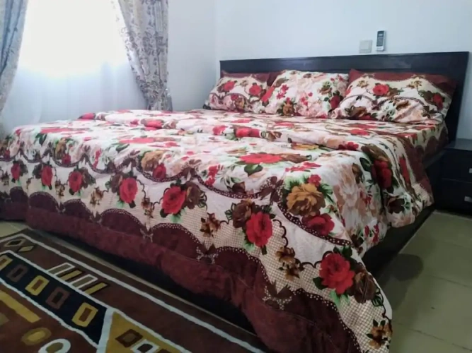 Economy Apartment