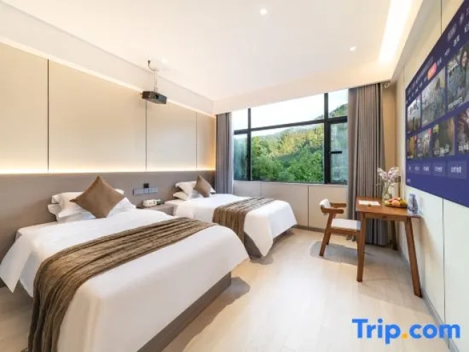 Standard Double room with land view