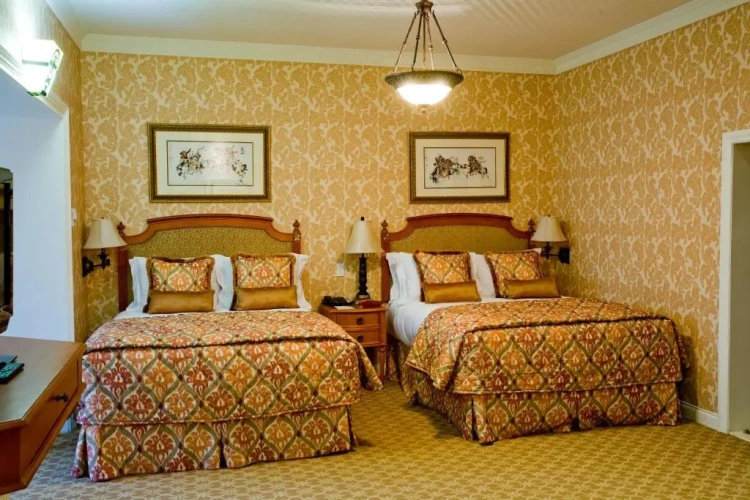 Deluxe Twin Suite