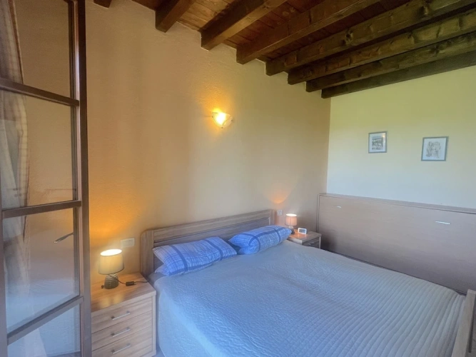 1 Bedroom Standard Apartment