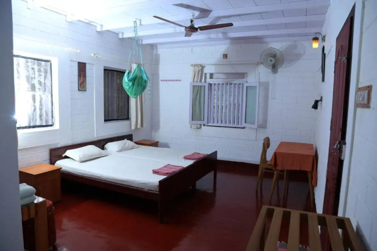 Ocean Green Kerala