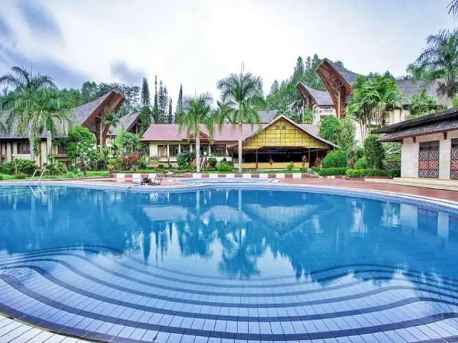 Executive Single Suite