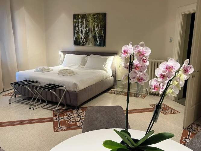 Comfort Double Suite with city view