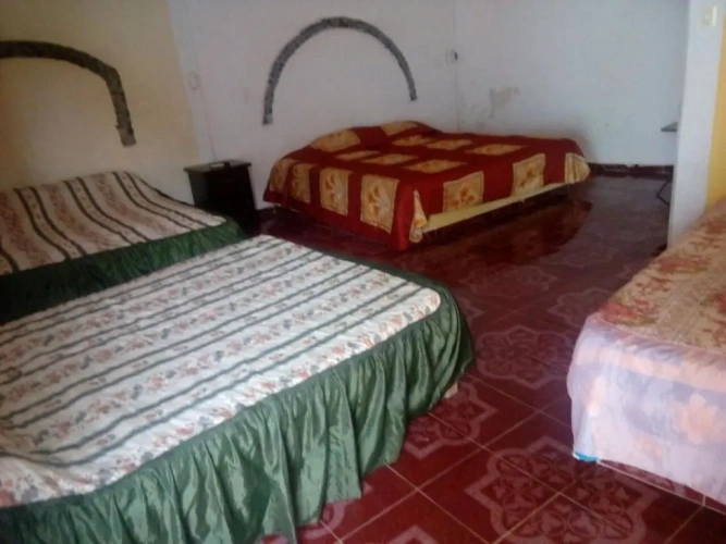 Standard Double Family room