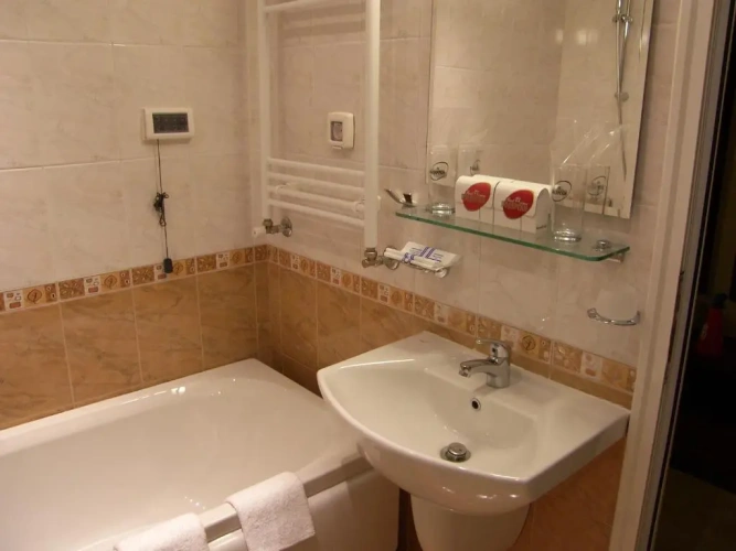 Standard Double room with river view