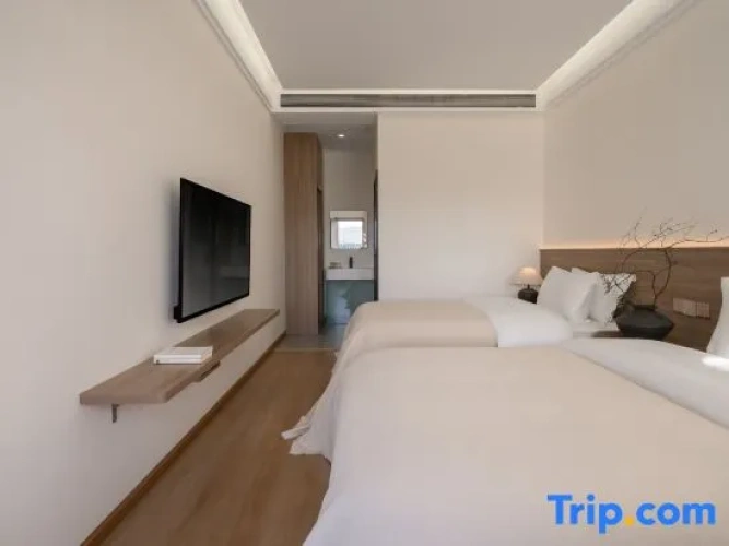 Deluxe Twin Family room