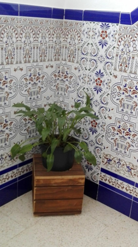 Hermoso Apartamento en Conil