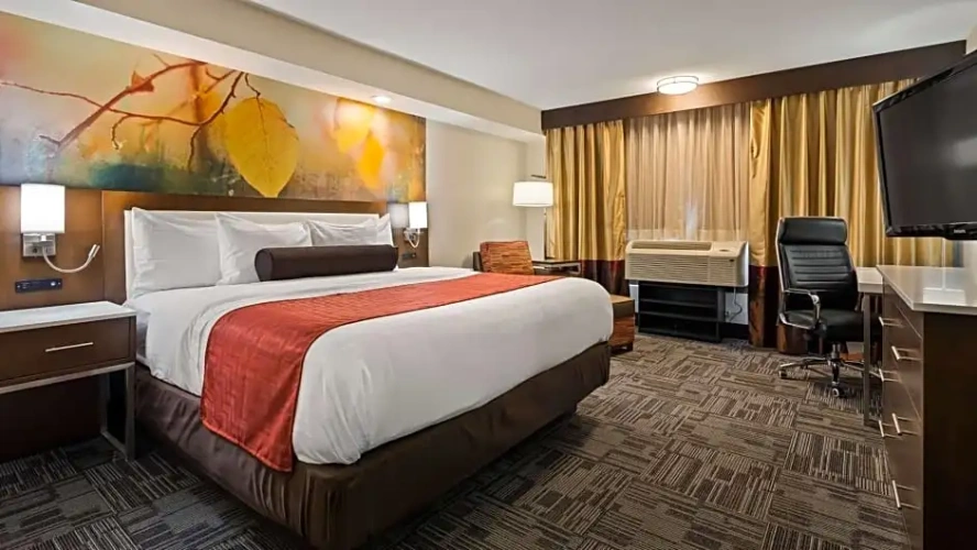 1 Bedroom Double Suite