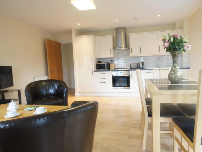 1 Bedroom Apartment