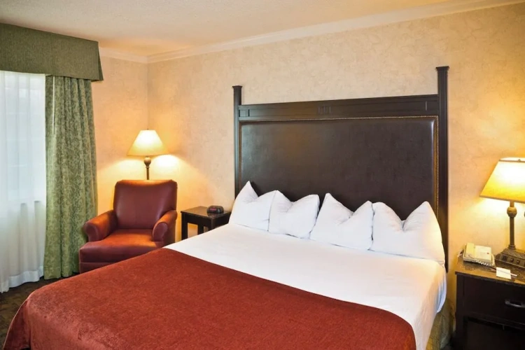 Deluxe Double room with pool view