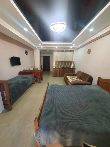 Hotel Horizont Apartments Bakuriani 35m2