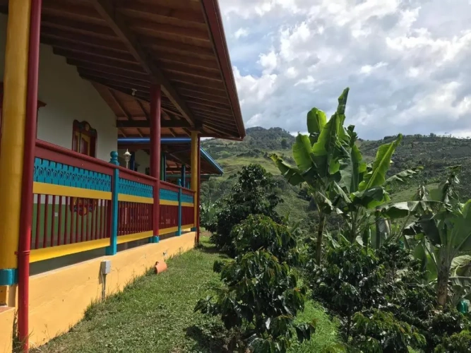1 Bedroom Cottage