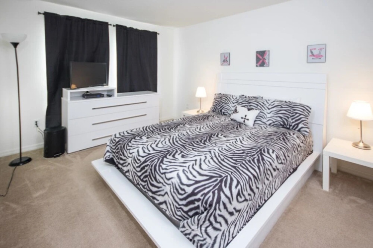 Compass Bay 3131