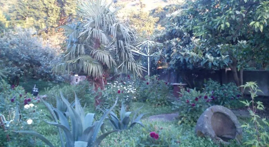 Outside
