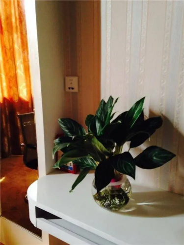 Rui Hotel