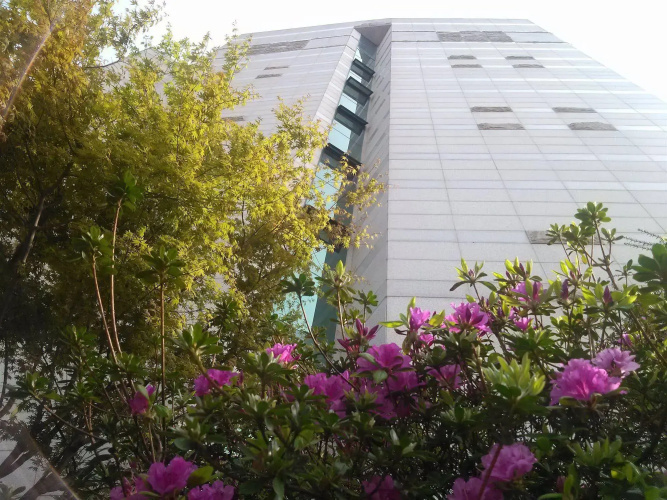 Hotelafbeelding