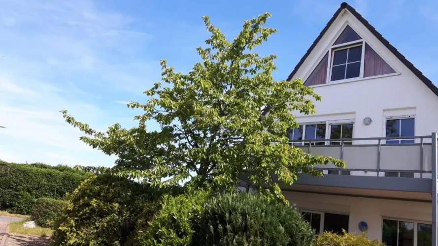 3 Bedrooms Apartment