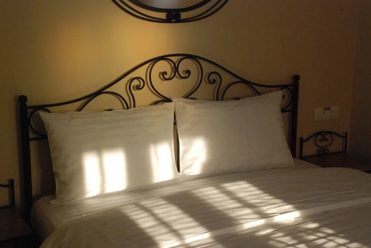 Standard Double room with garden view