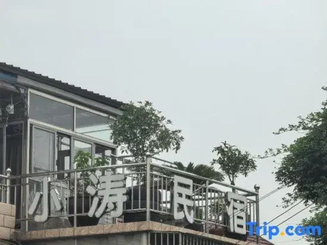 Tao Homestay