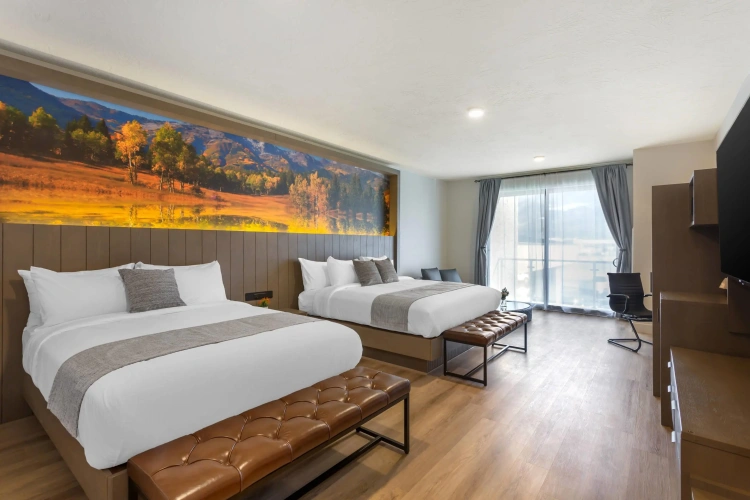 Guest rooms