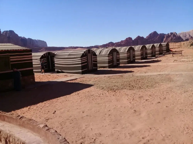 Wildlife Camp