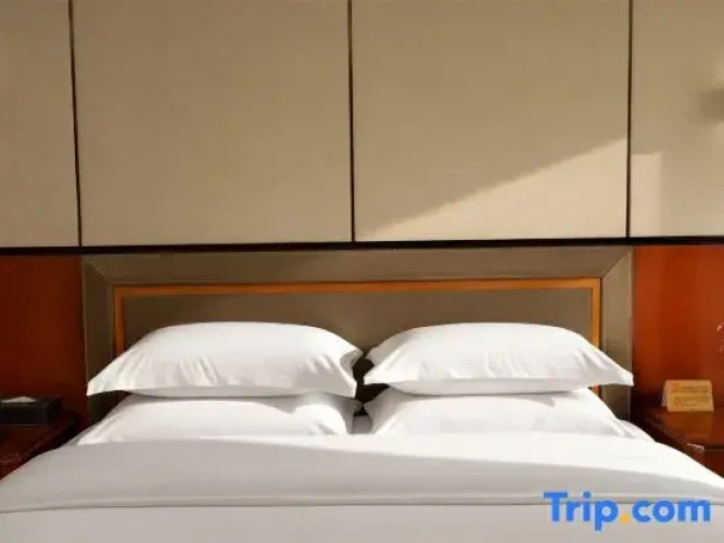 Double Family Suite