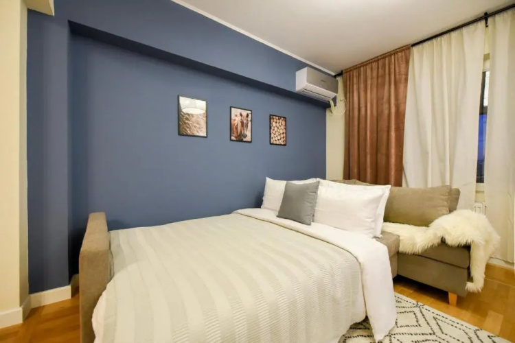 THE DREAM Apartment - Near Radisson Hotel