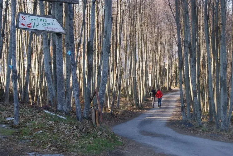 Agriturismo Sentiero Dei Sapori