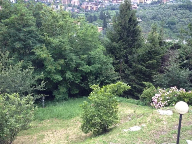 Double Villa with garden view