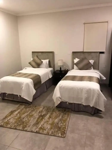 Double Apartment