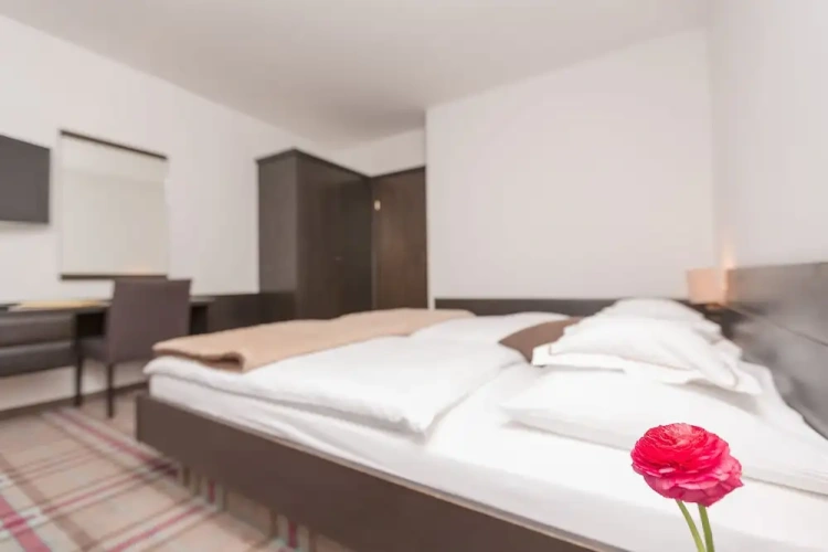 Comfort Double room with balcony and with mountain view