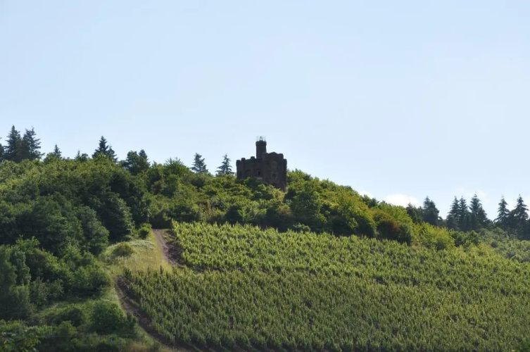 SCHROEDERS Wein-Style-Hotel