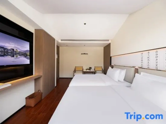 Standard Twin room with mountain view