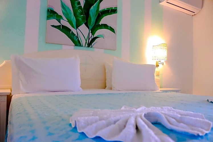 Standard Double room with balcony and with garden view