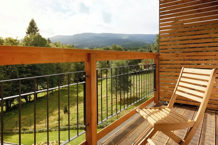 Standard Double room with balcony and with mountain view