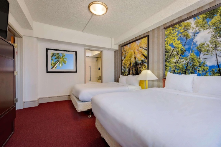 1 Bedroom Quadruple Suite