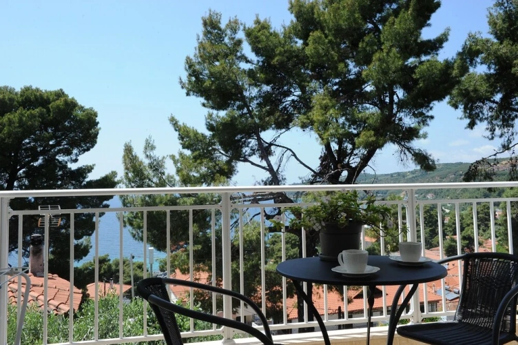 Standard Double room with balcony and with sea view