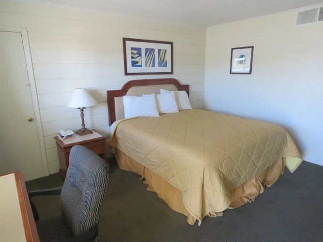 1 Bedroom Standard Single room
