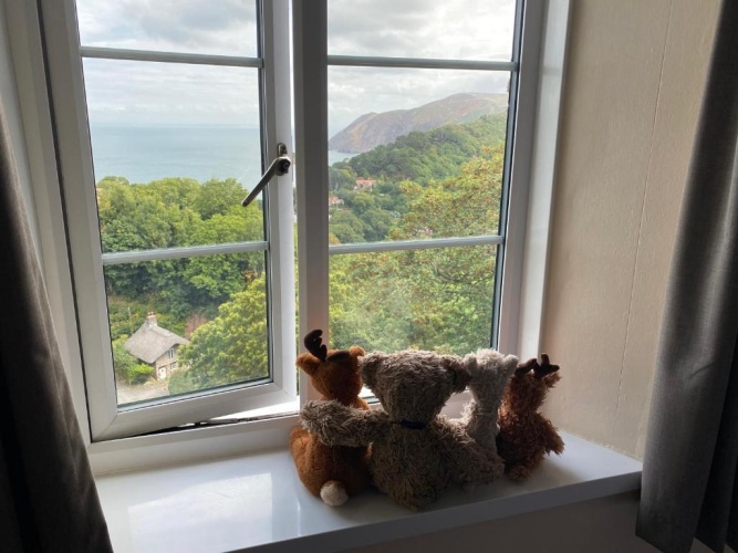 Standard Double room with sea view