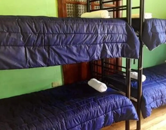 Friendly House & Hostel