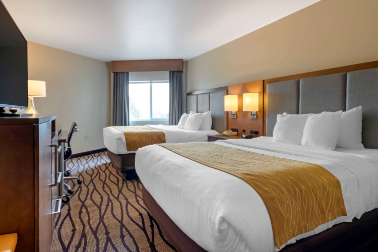 Standard Quadruple room