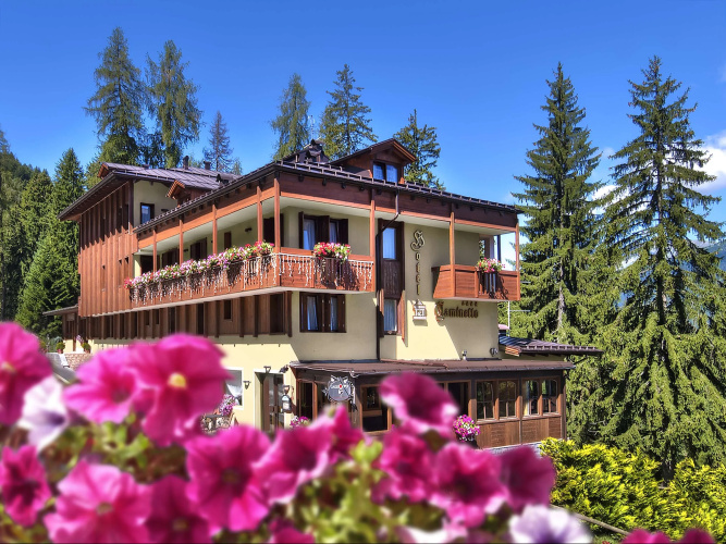 Image de l'hôtel