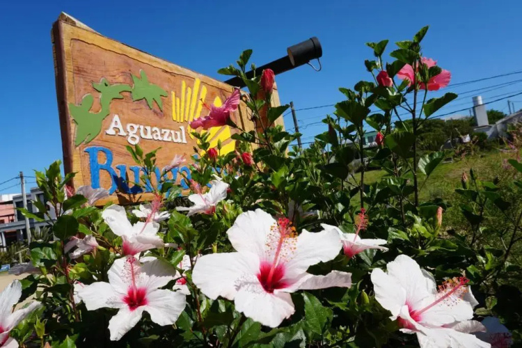 Complejo Aguazul