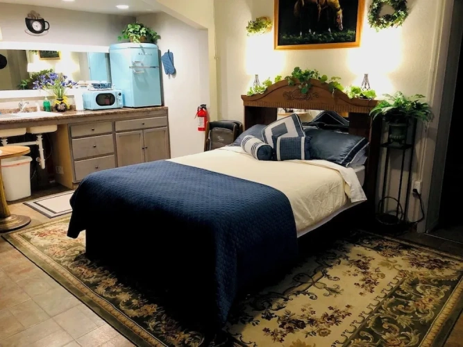 Deluxe Single room with mountain view