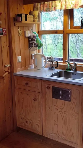 Cozy Cabin in the Woods